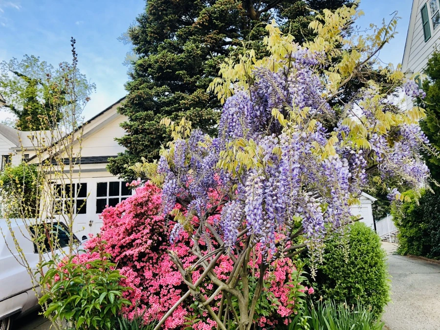 IMG_7283.jpg?type=w966