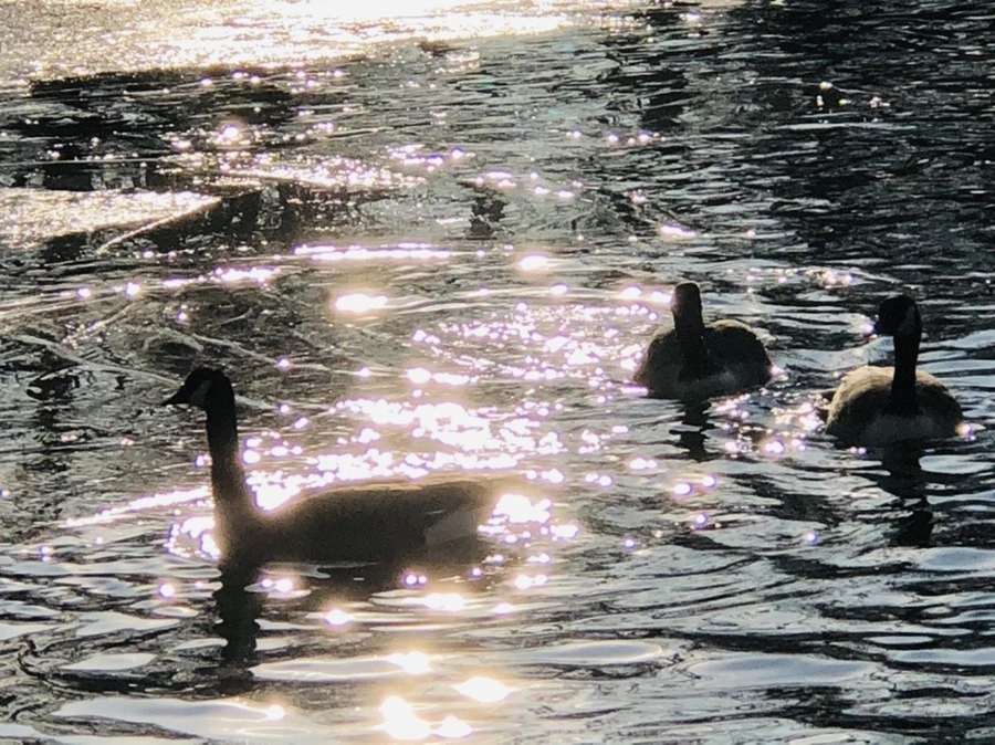 uj8yQbloCkAWTHm_WBUZKx2RpG4