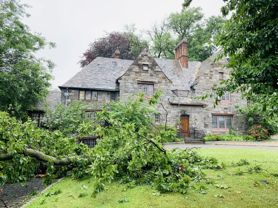 IMG_0257.jpg?type=w966