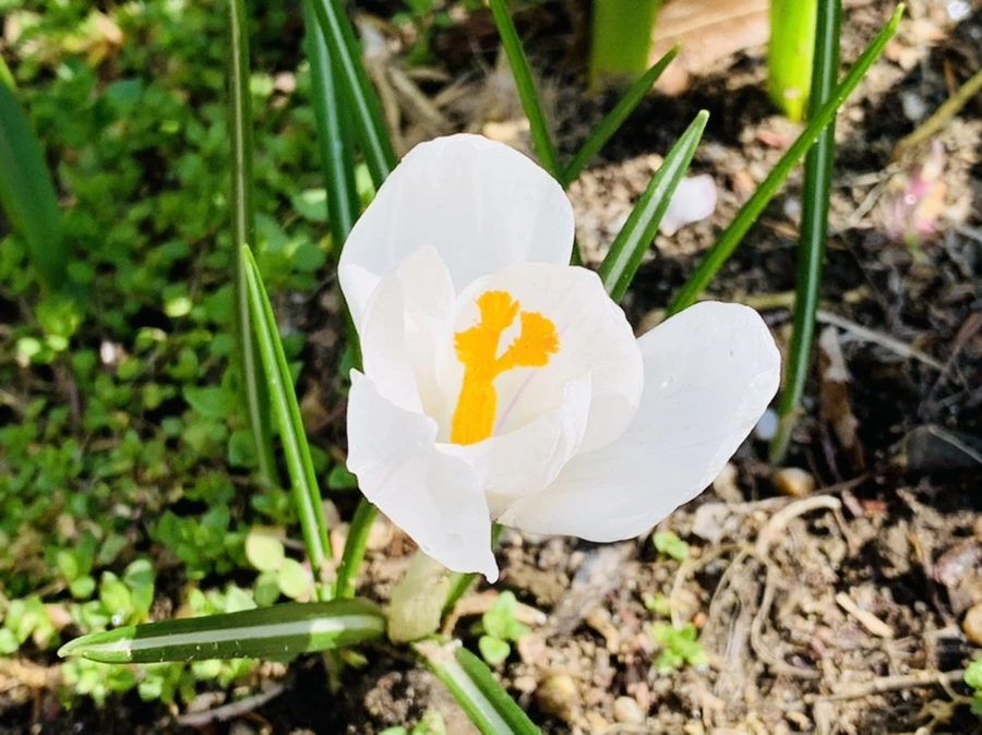 IMG_4165.jpg?type=w966