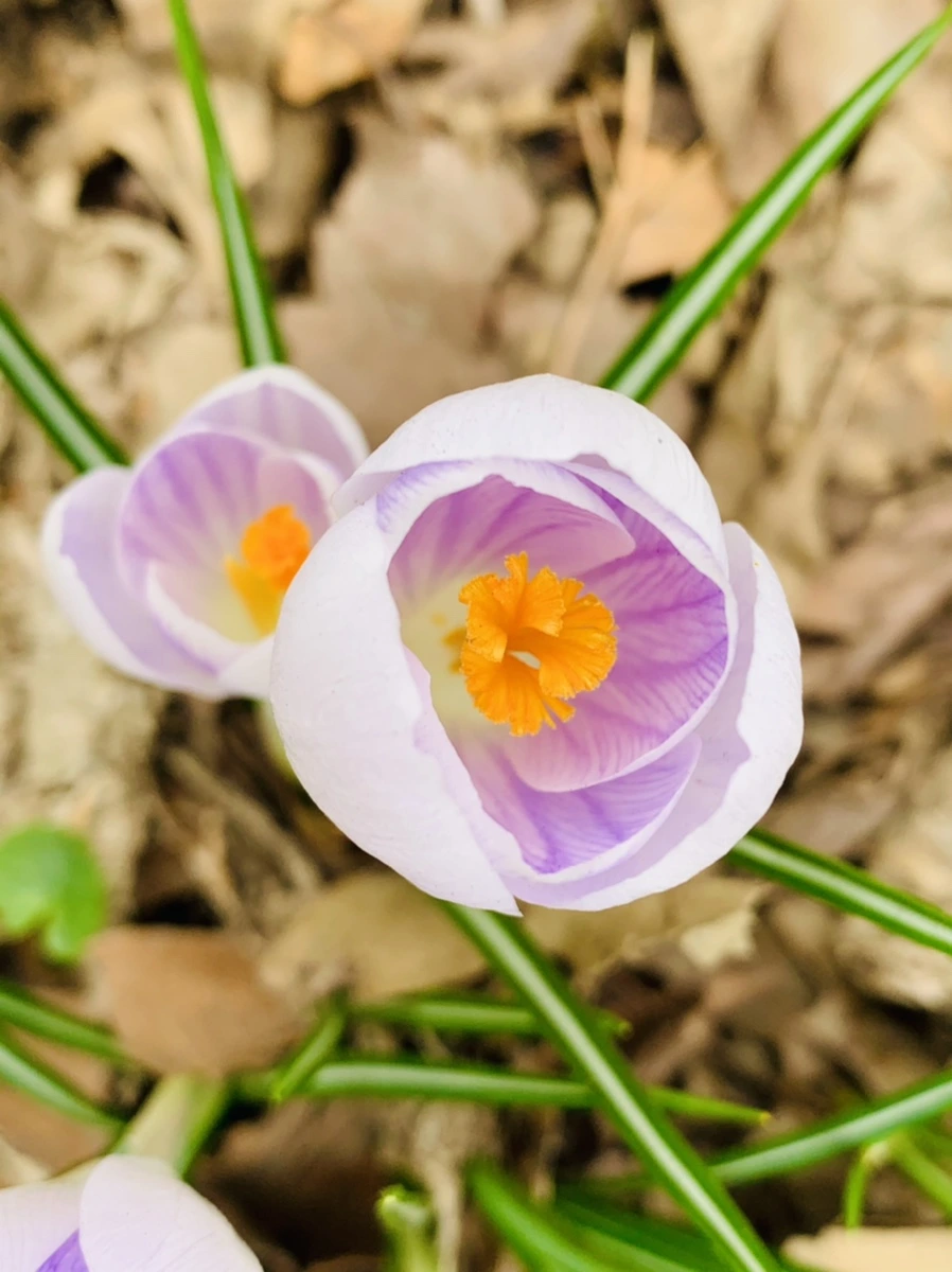 IMG_3514.jpg?type=w966