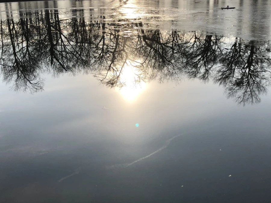 IMG_2525.jpg?type=w966