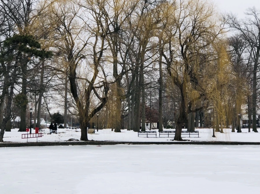 IMG_2749.jpg?type=w966