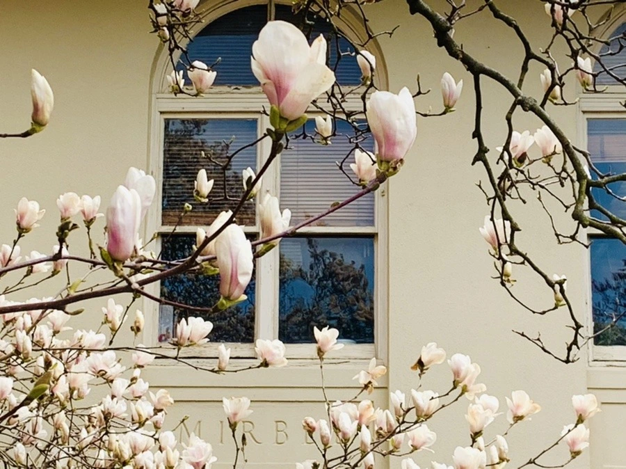 qTtboIKn162dRPK5RsgKBkW-MoY