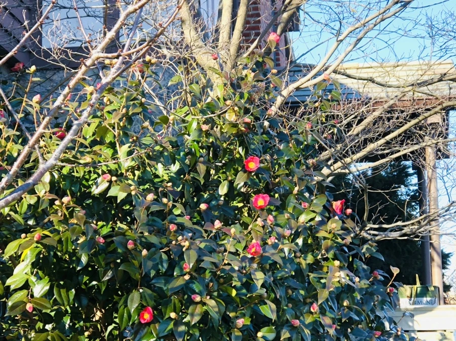 IMG_0324.jpg?type=w966