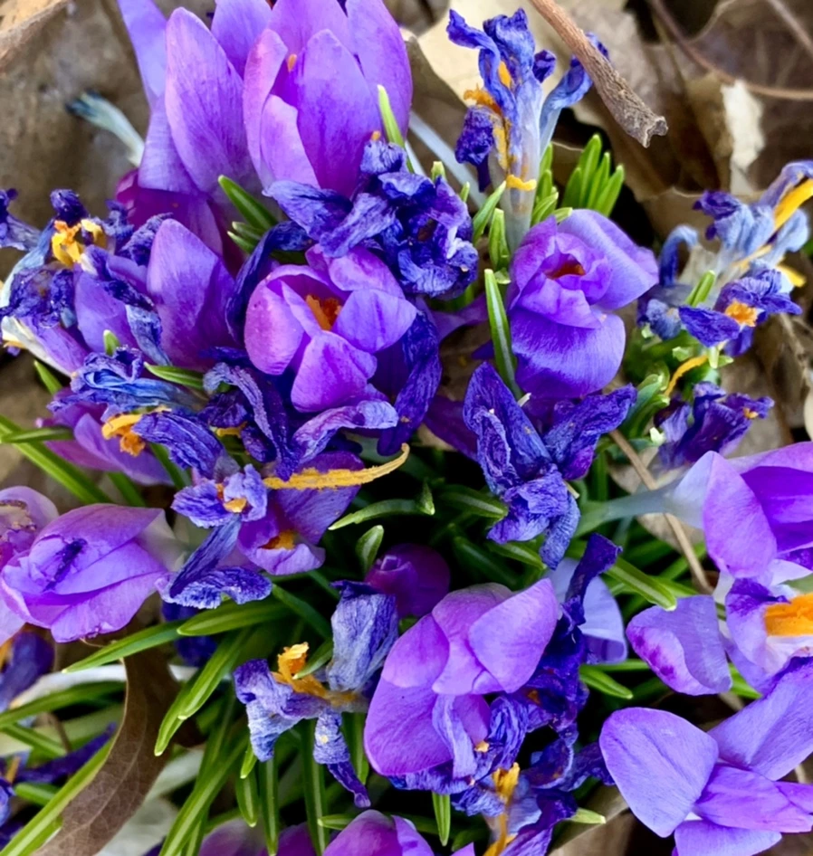 IMG_1430.jpg?type=w966