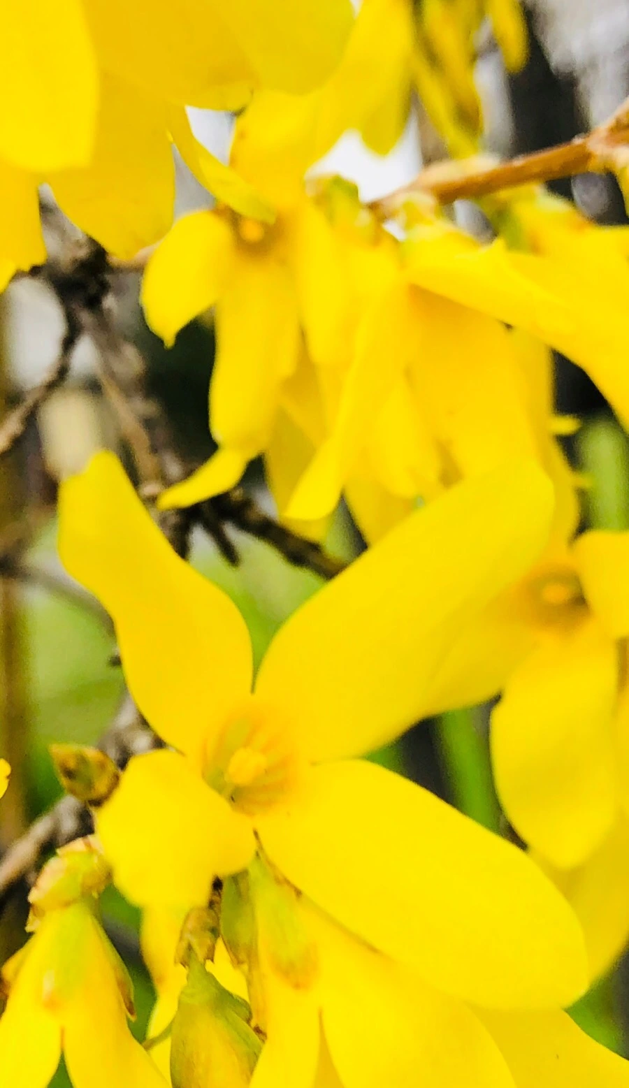 IMG_4113.jpg?type=w966