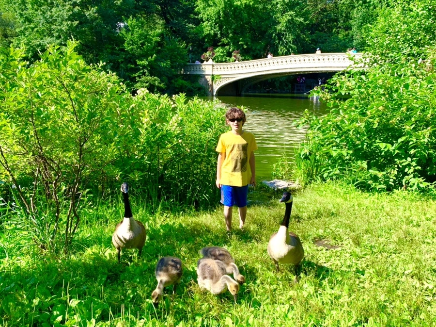 IMG_3444.jpg?type=w966