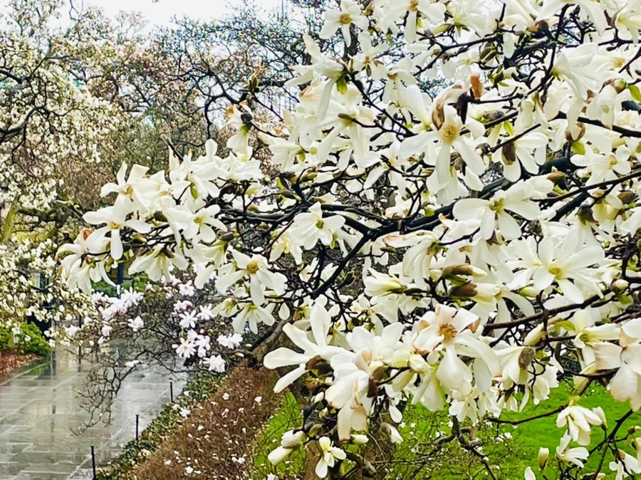 IMG_7353.jpg?type=w966