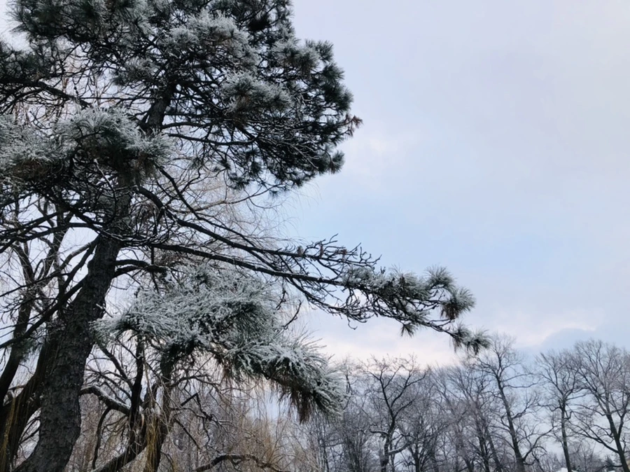 IMG_4513.jpg?type=w966