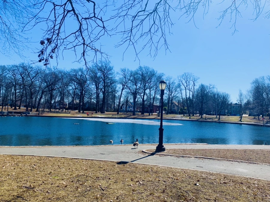 IMG_6851.jpg?type=w966