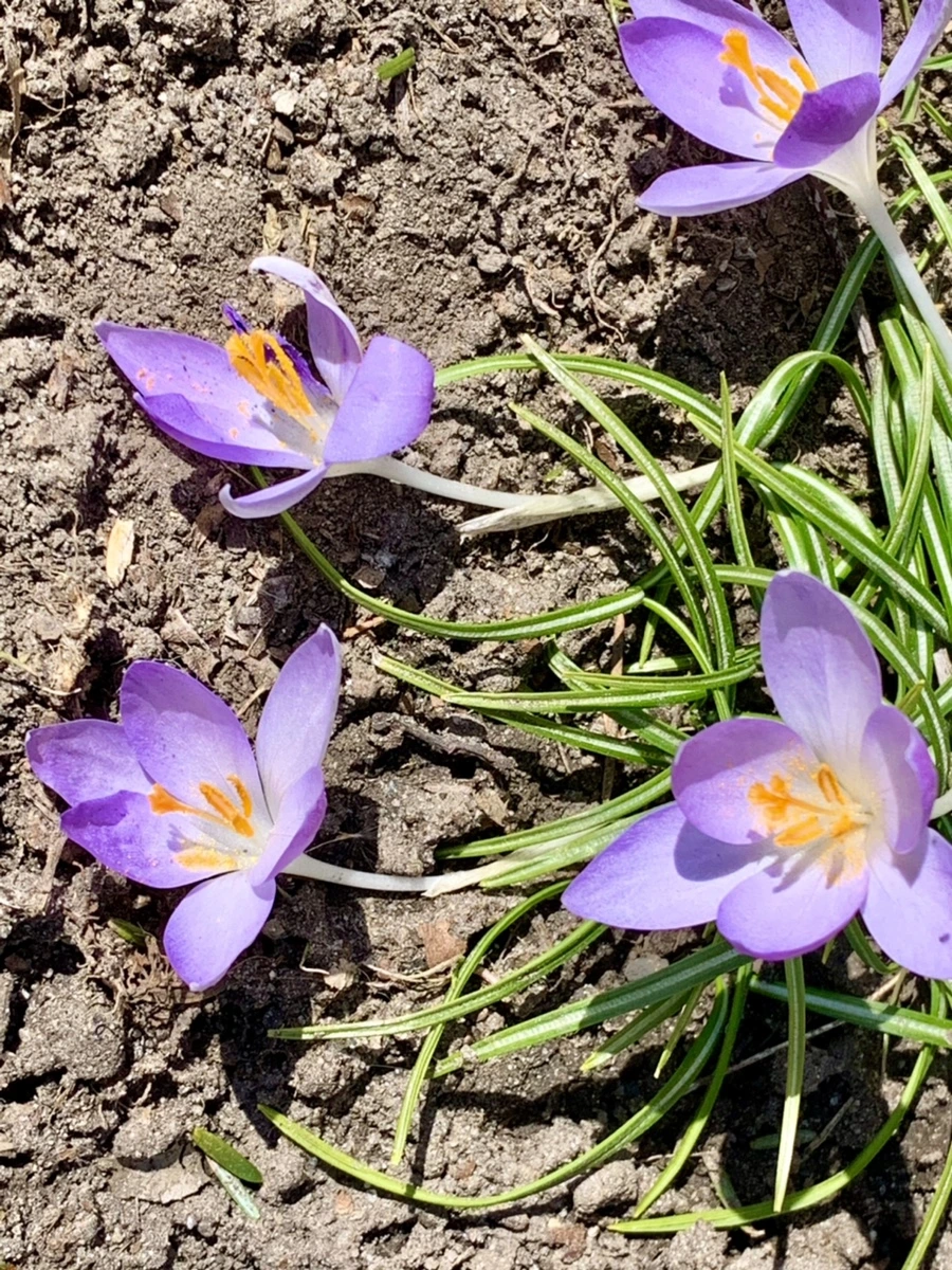 IMG_9189.jpg?type=w966