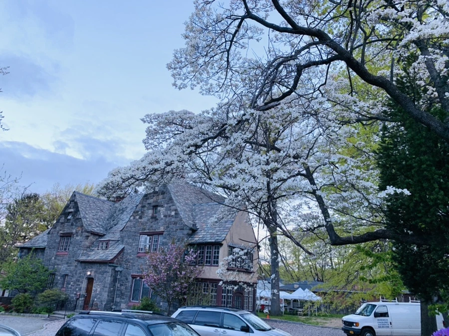 IMG_7571.jpg?type=w966