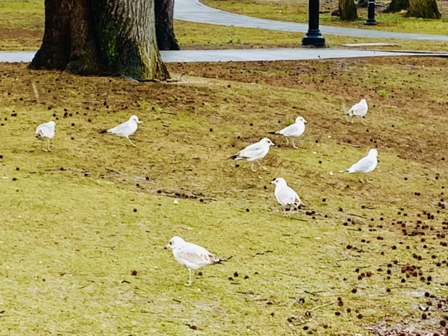 IMG_2069.jpg?type=w966