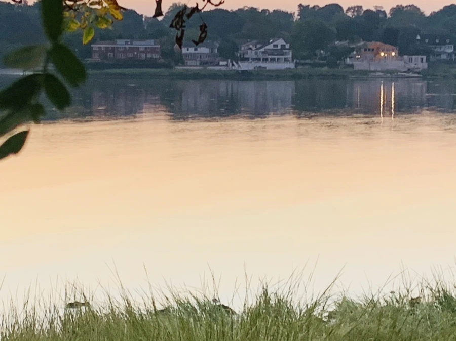 IMG_4359.jpg?type=w966