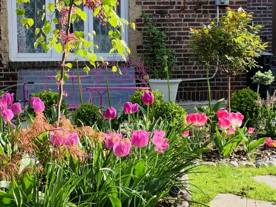 IMG_1100.jpg?type=w966