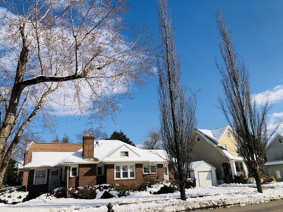 IMG_0446.jpg?type=w966