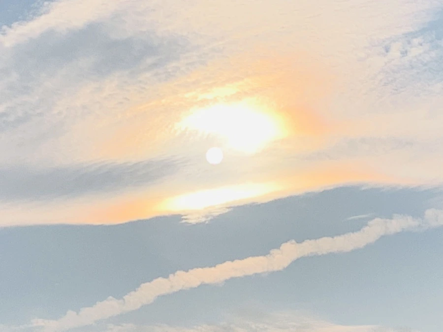 IMG_2241.jpg?type=w966