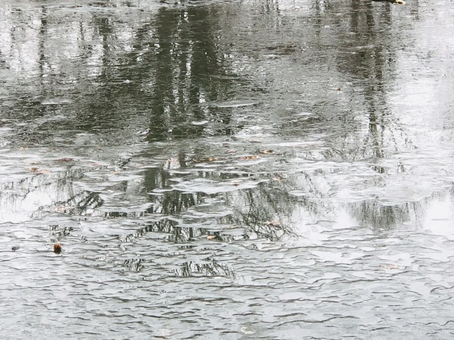 IMG_3162.jpg?type=w966