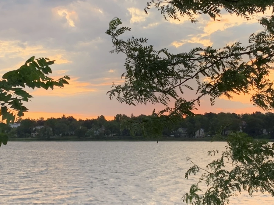 IMG_1692.jpg?type=w966