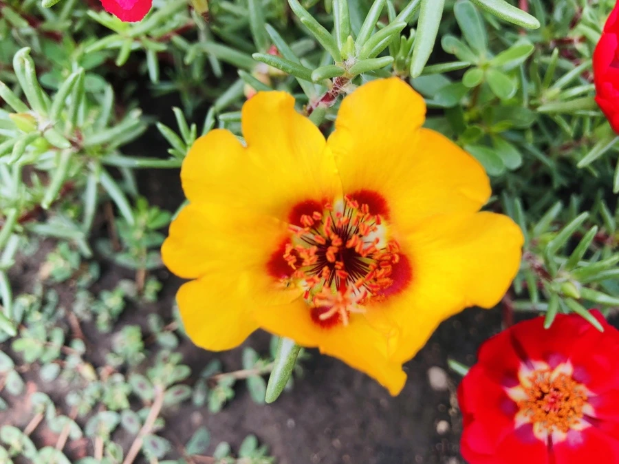 IMG_1460.jpg?type=w966