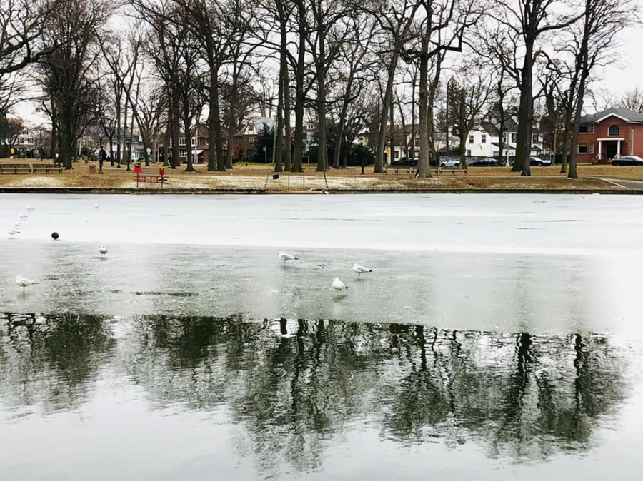 IMG_6372.jpg?type=w966