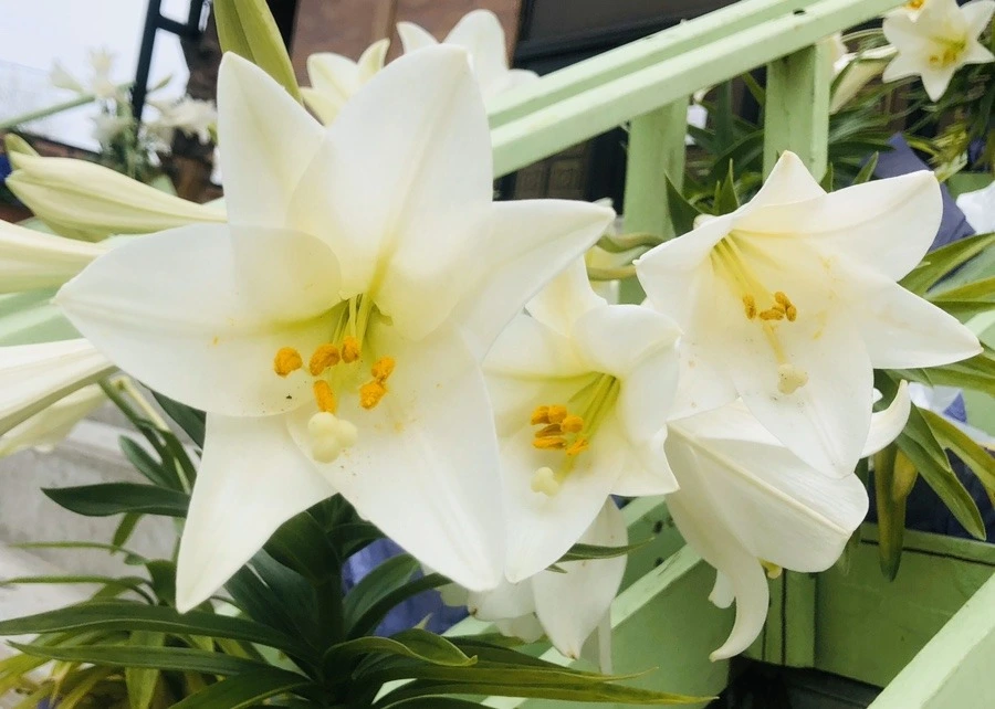 XYlAvDLZmGT4nt2AaTqRAC5UvU0