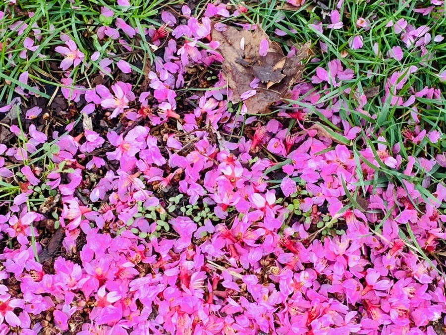 IMG_6275.jpg?type=w966