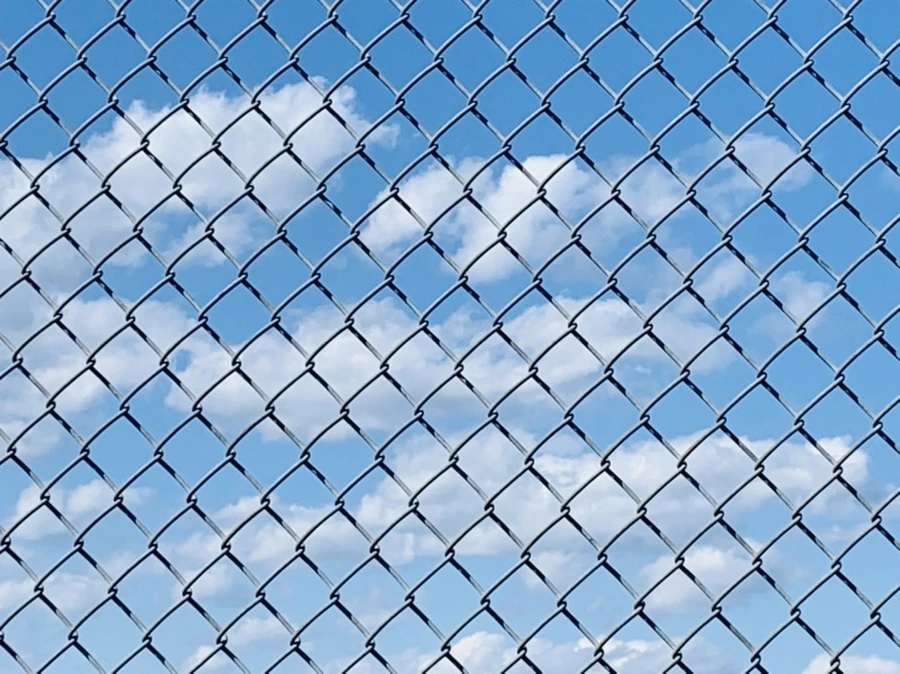 IMG_4556.jpg?type=w966