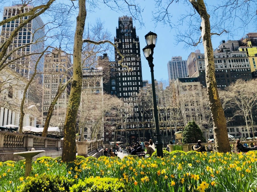 IMG_4570.jpg?type=w966