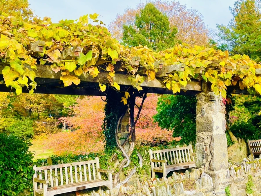 IMG_2379.jpg?type=w966