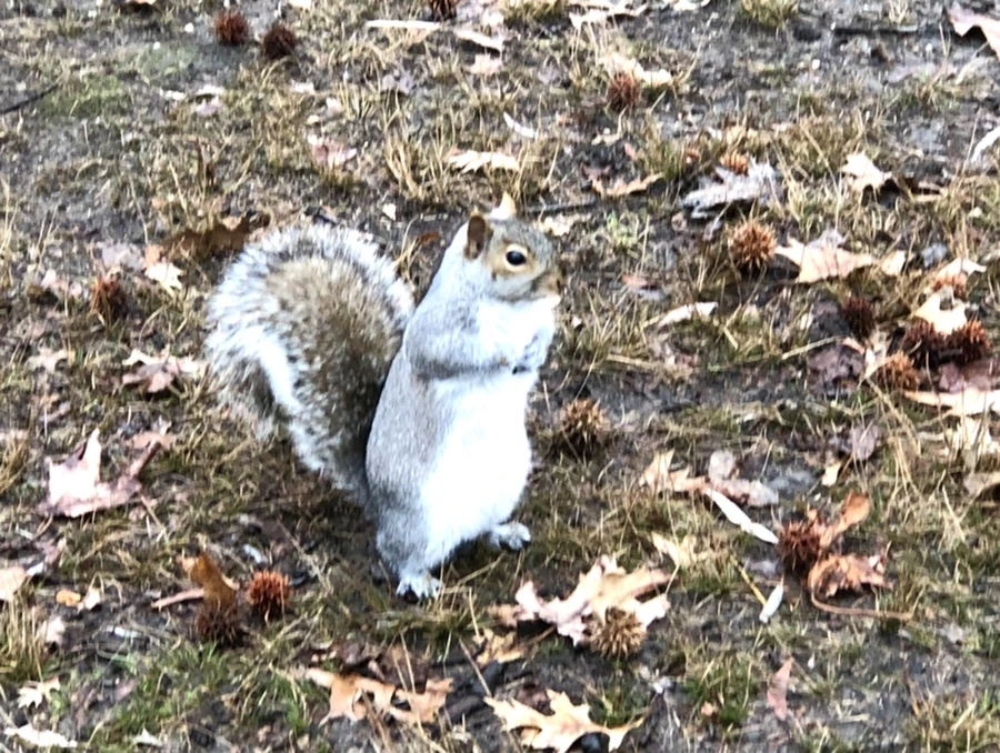 IMG_9496.jpg?type=w966