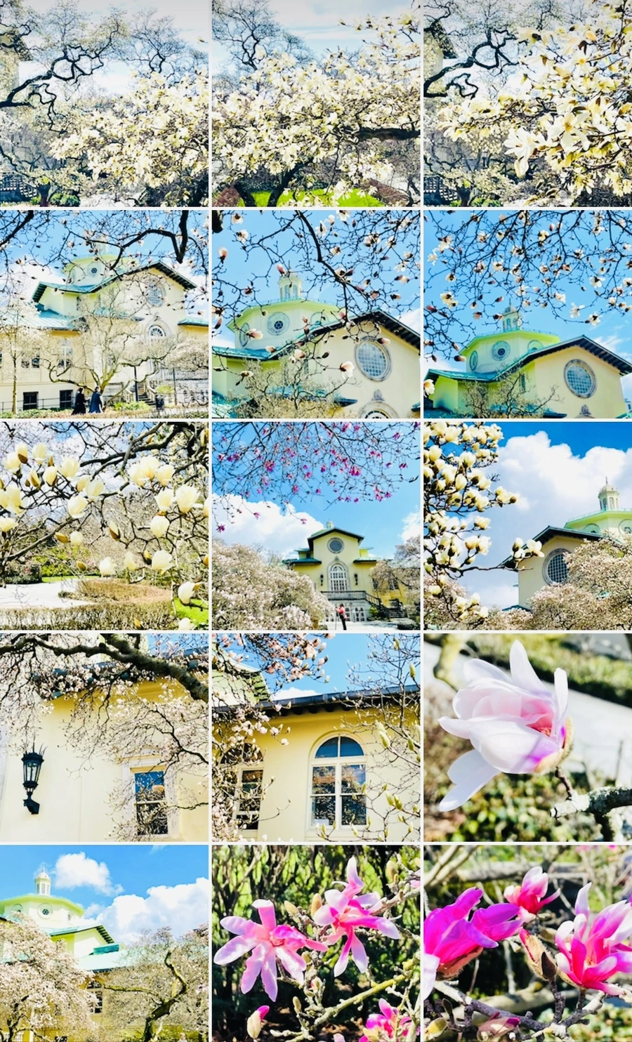 IMG_7289.jpg?type=w966