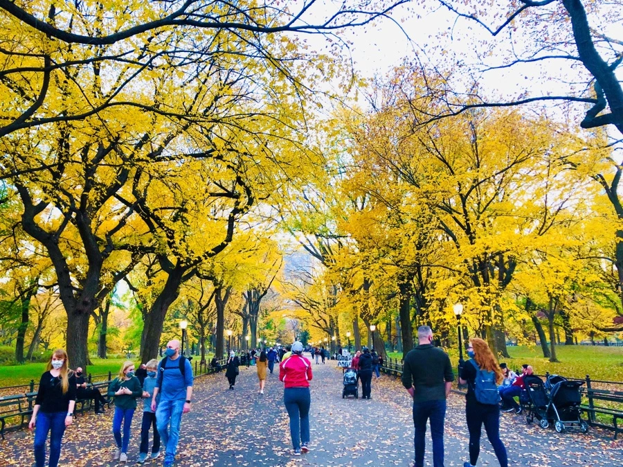 IMG_4198.jpg?type=w966