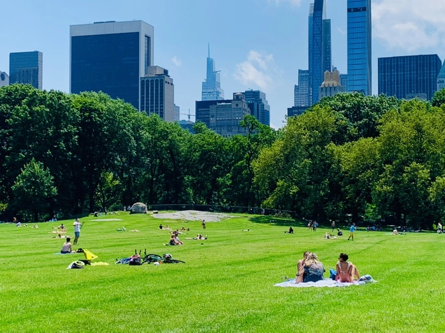 IMG_5374.jpg?type=w966