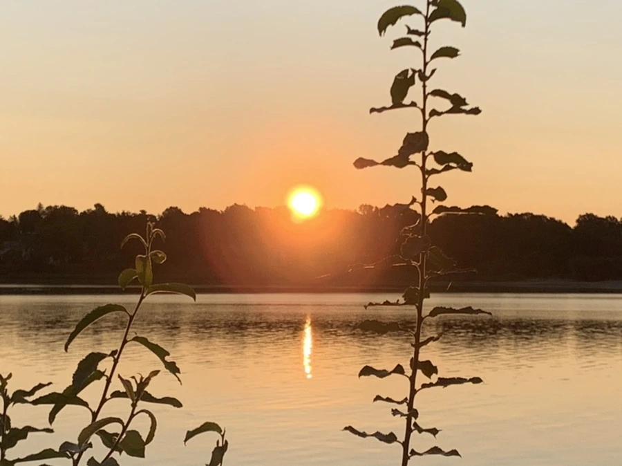 IMG_7541.jpg?type=w966