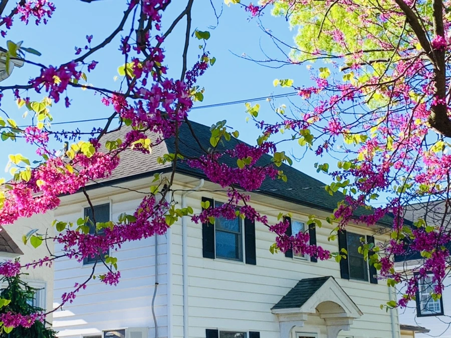 IMG_0424.jpg?type=w966