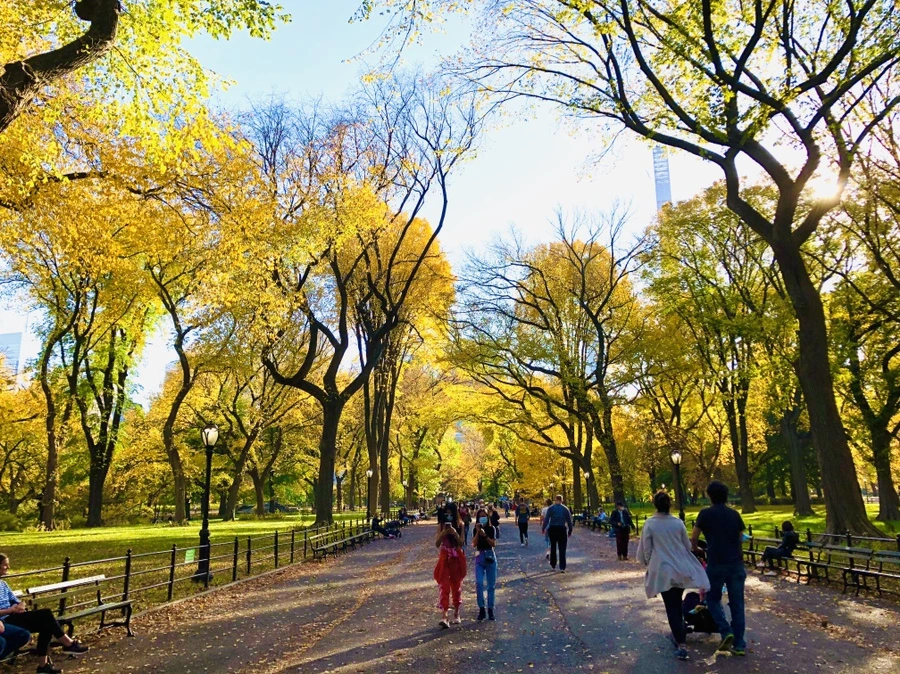 IMG_3492.jpg?type=w966