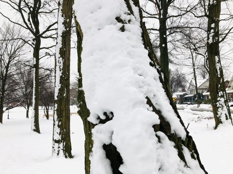 IMG_1571.jpg?type=w966