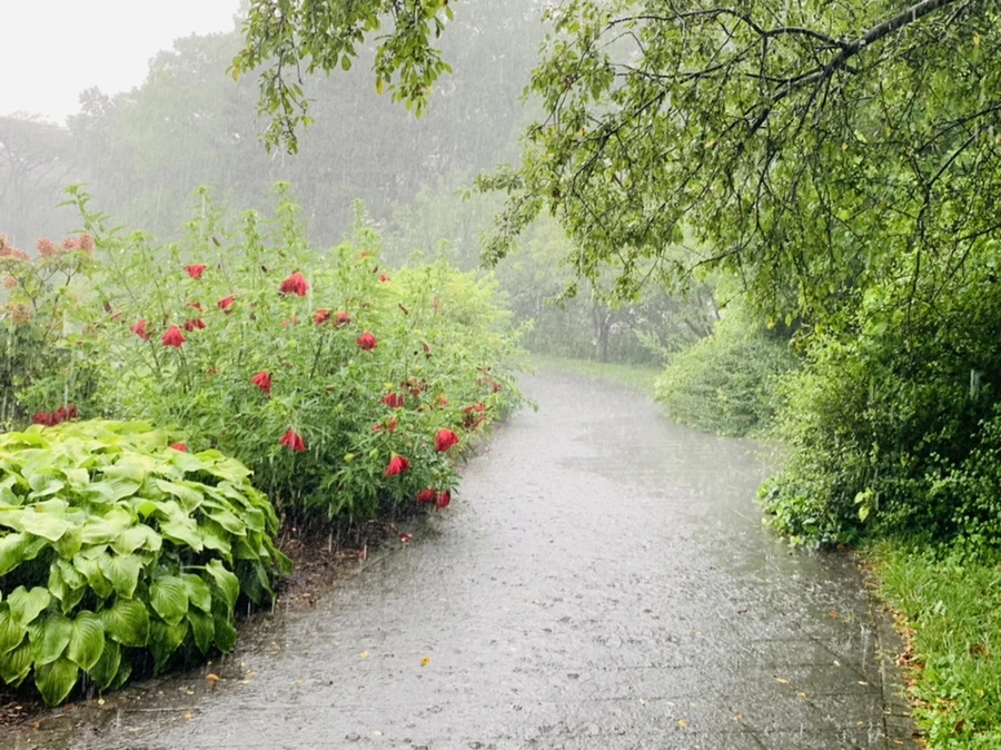 IMG_8808.jpg?type=w966