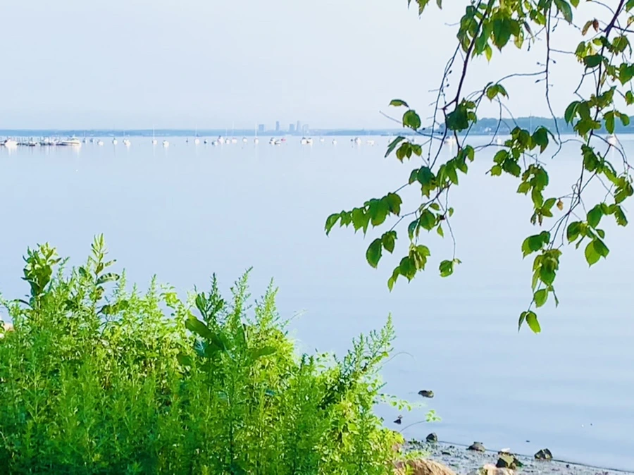 IMG_5887.jpg?type=w966