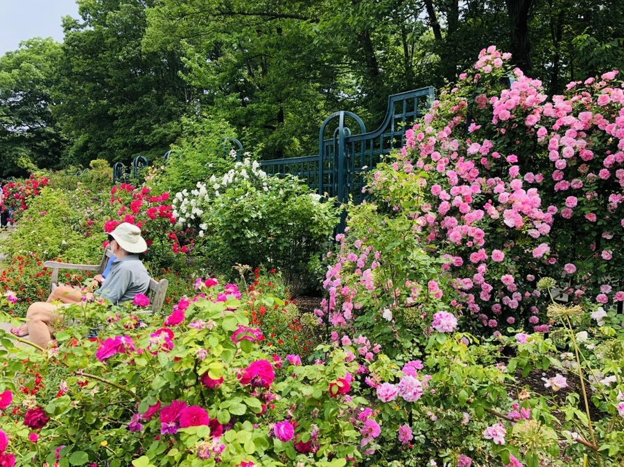 IMG_5674.jpg?type=w966