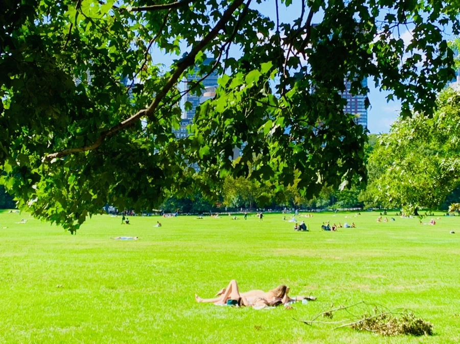 IMG_9670.jpg?type=w966