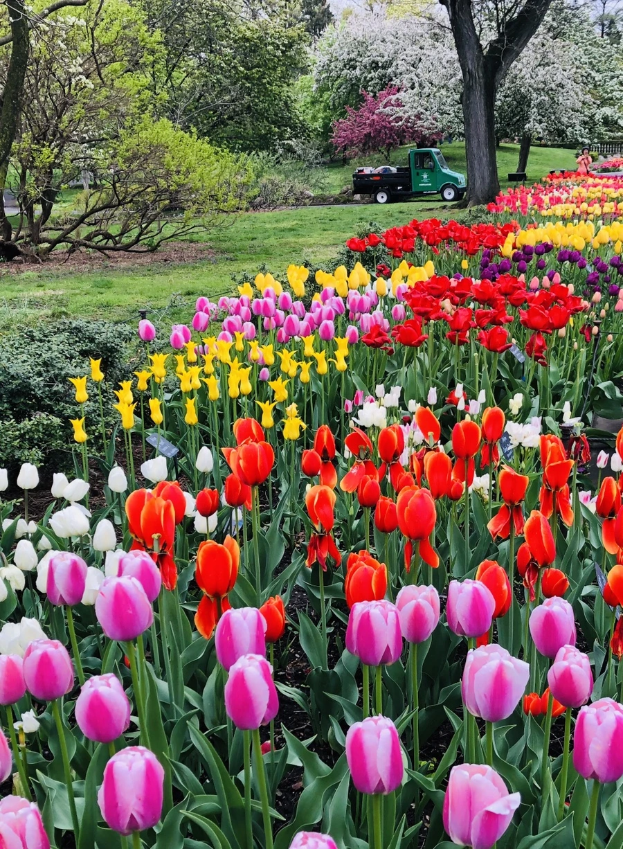 IMG_3731.jpg?type=w966