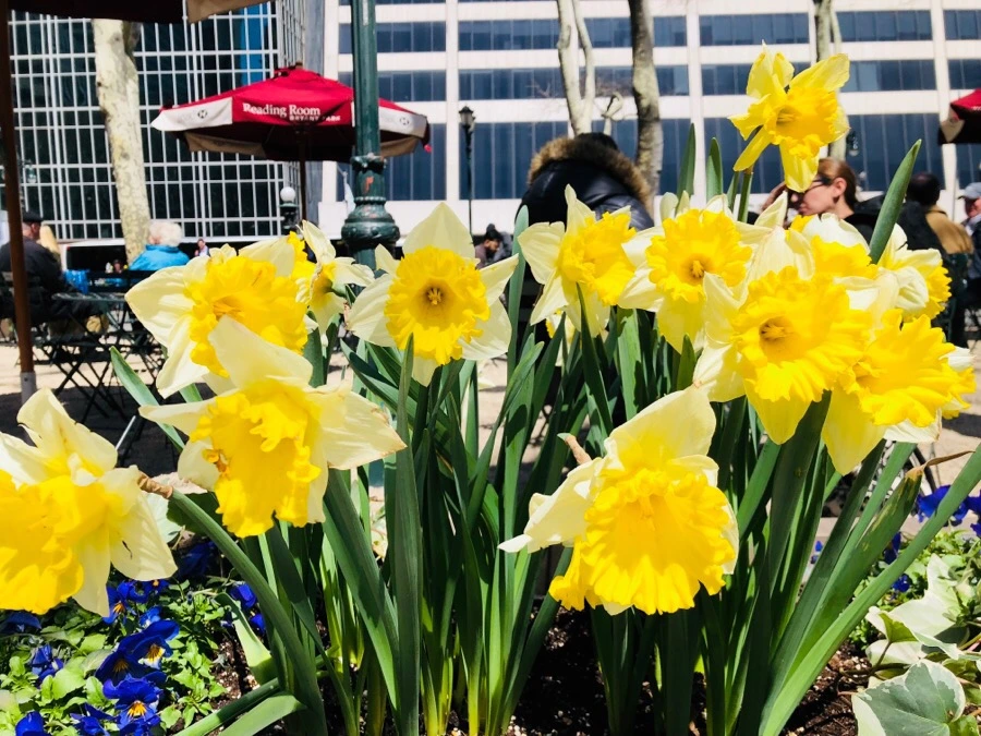 IMG_4568.jpg?type=w966