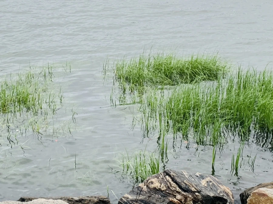 IMG_7736.jpg?type=w966