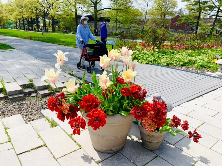 IMG_6904.jpg?type=w966