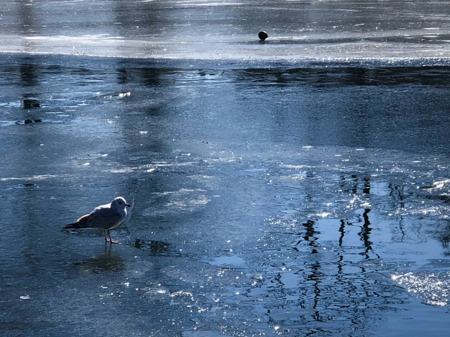 IMG_7694.jpg?type=w966