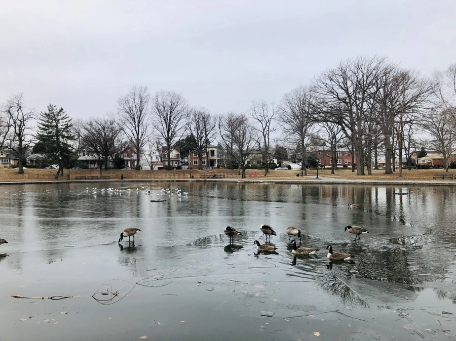 IMG_9369.jpg?type=w966