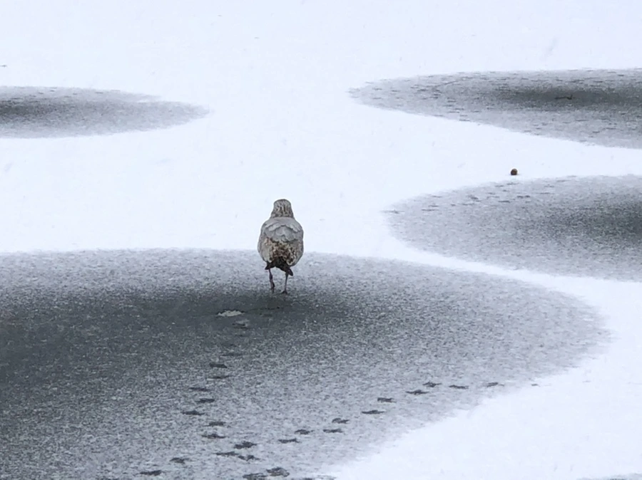 IMG_5981.jpg?type=w966